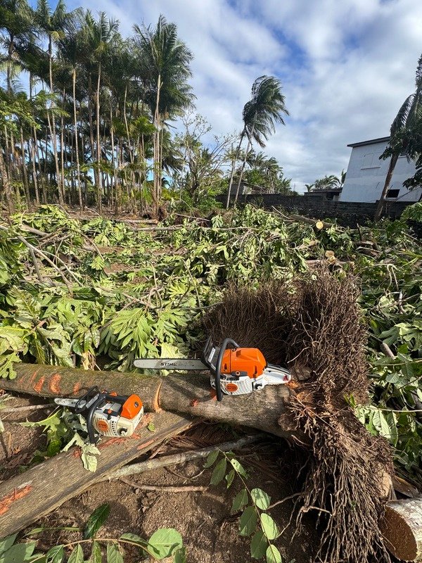 Débroussaillage de terrain envahi à La Réunion