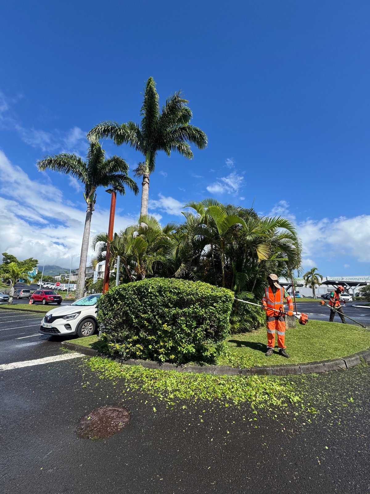 Entretien paysager pour résidence à La Réunion par MR.GREEN
